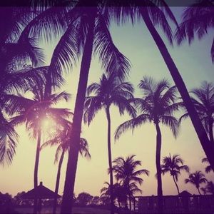 Meet your Posher, Jamie